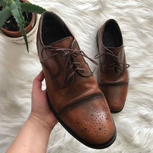 CHAPS Hayward Brown Leather Oxfords Dress Shoes